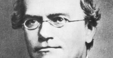 Gregor Mendel